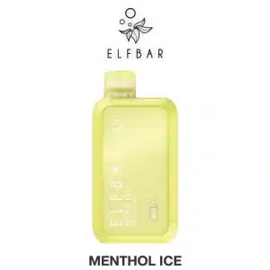 Elfbar RAYA มินต์ เย็น - 10000 Puffs