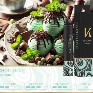 Vape King ช็อกมิ้นท์ - 7000 Puffs